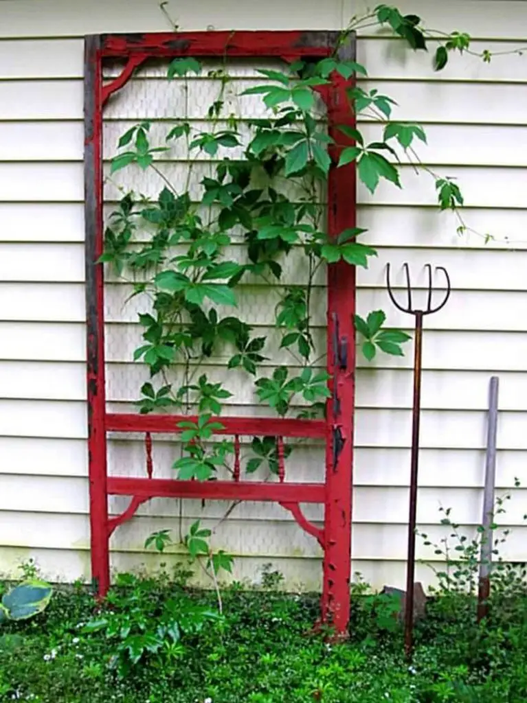 Trellis From Recycled Materials