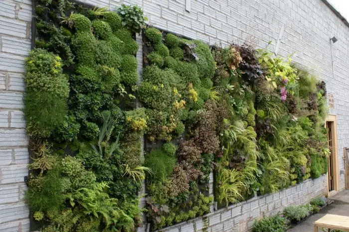 Another example of a low maintenance vertical garden.