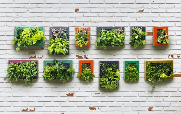 Vertical gardens come in all shapes and sizes. There's one that will suit your home.