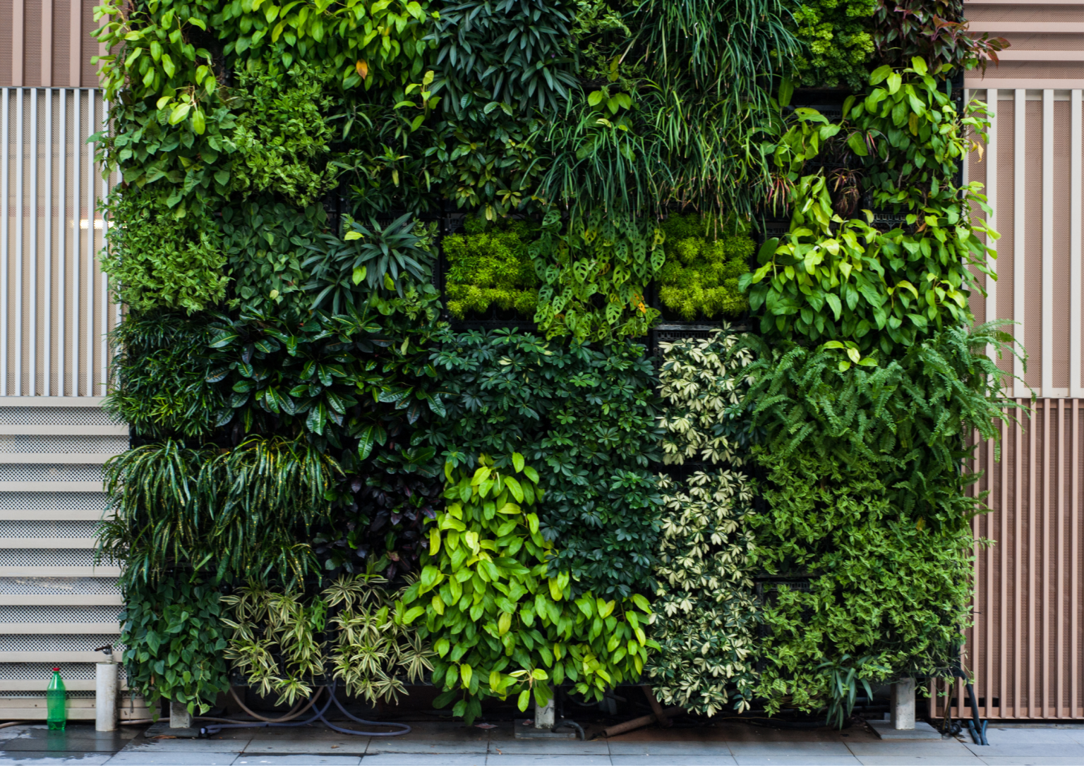 How to Make a Vertical Garden in 8 Easy Steps! - Ideas2Live4