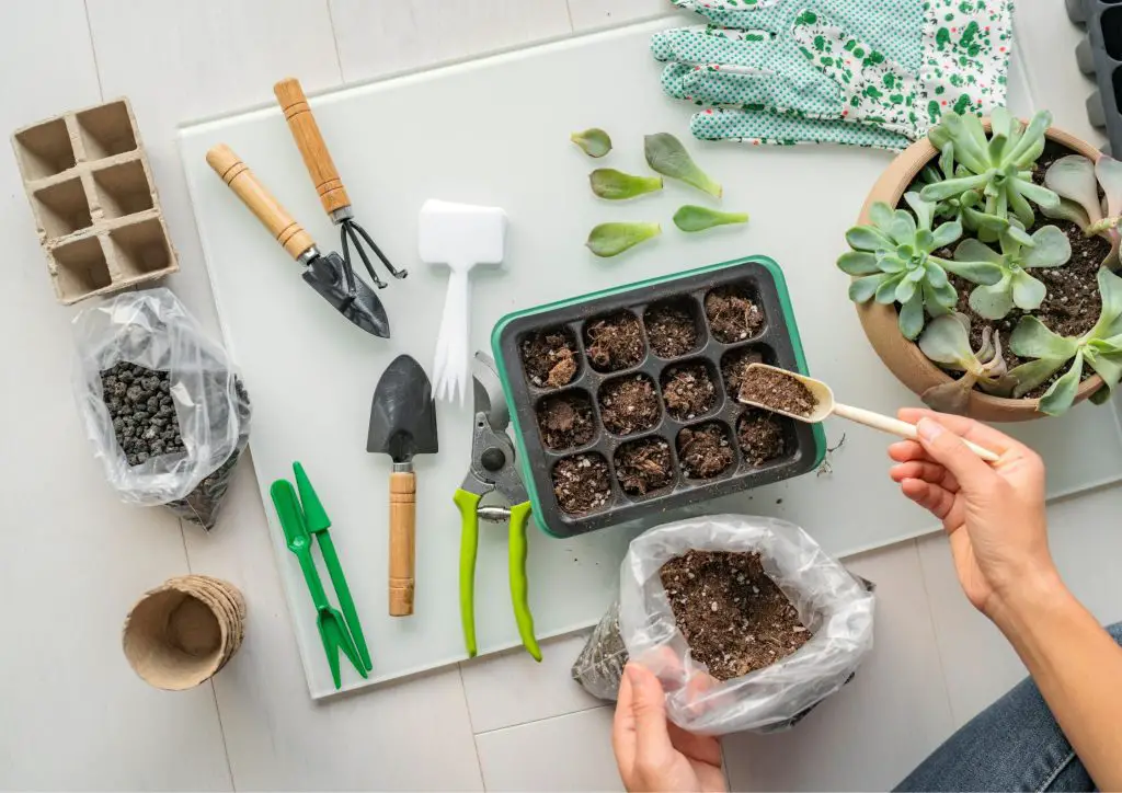 Digging In: How to Start Your Gardening and Landscaping Journey with Confidence