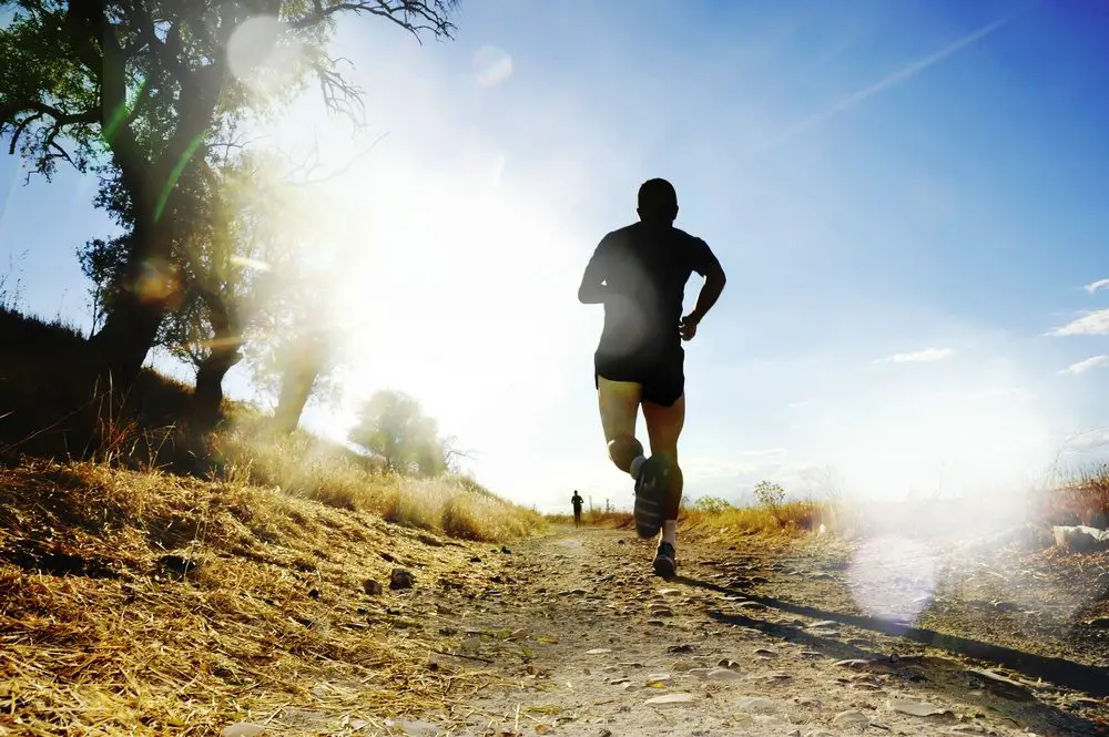 A fit and healthy human can run much greater distances than most other species
