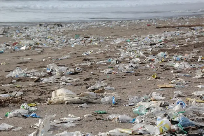 Most of the plastic that is in the ocean is not in the form of cups or straws, but broken-down shreds of plastic