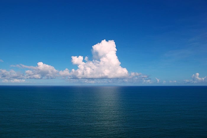Ocean temperatures are at their highest since the mid-20th century.  