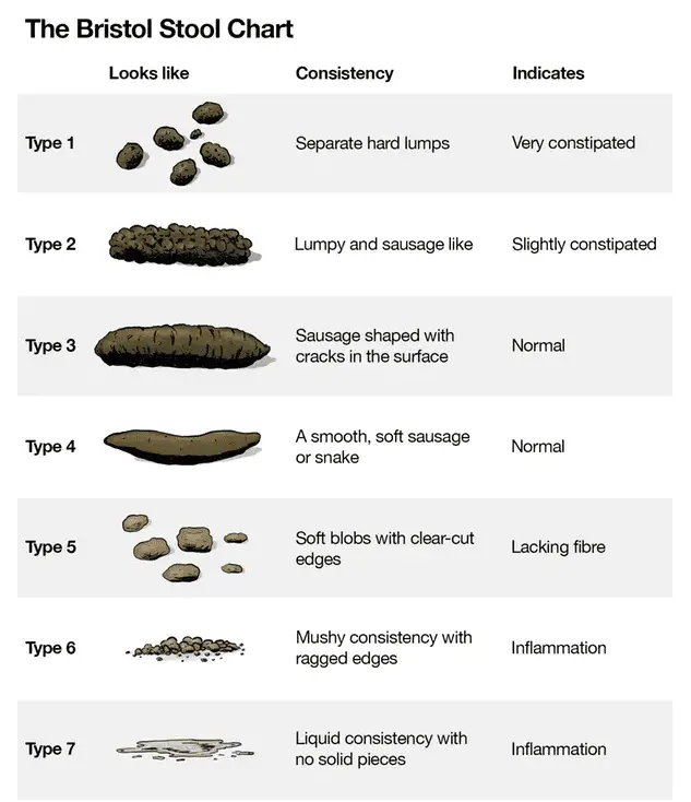 The Bristol Stool Chart is used to measure regularity.