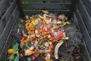 How compost can save our world