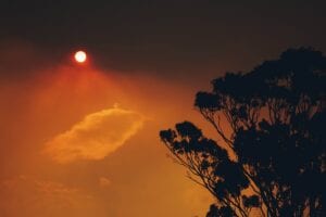 Smoke-filled sky during Australia's 2020 bushfire disaster - Stanley Li