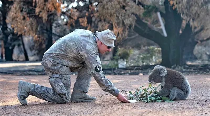 NZ Army’s 2ER assist ADF personnel at Kangaroo Island’s Hanson Bay Wildlife Reserve during the Australian Bushfires.