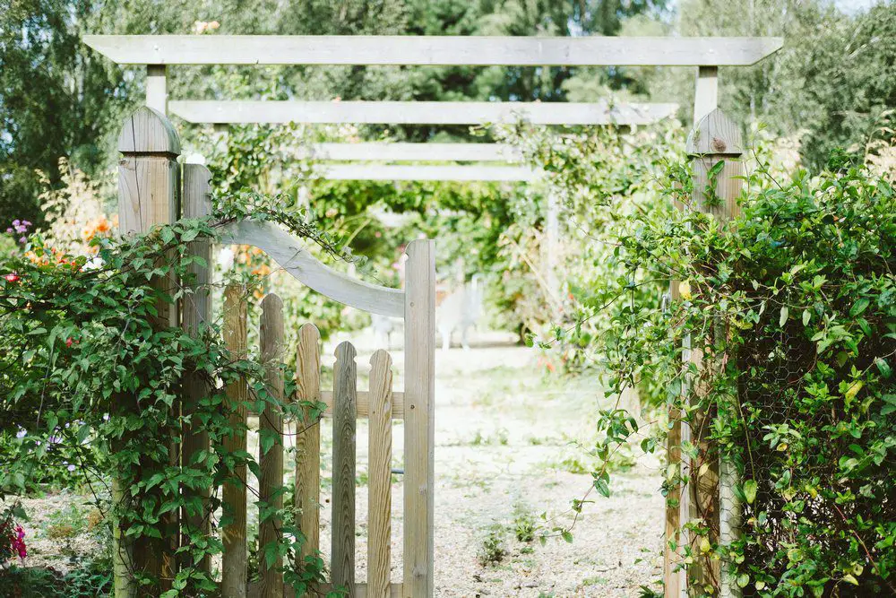The main entrance to the garden should develop a curiosity to explore the space beyond and motivate the guests to enter. 