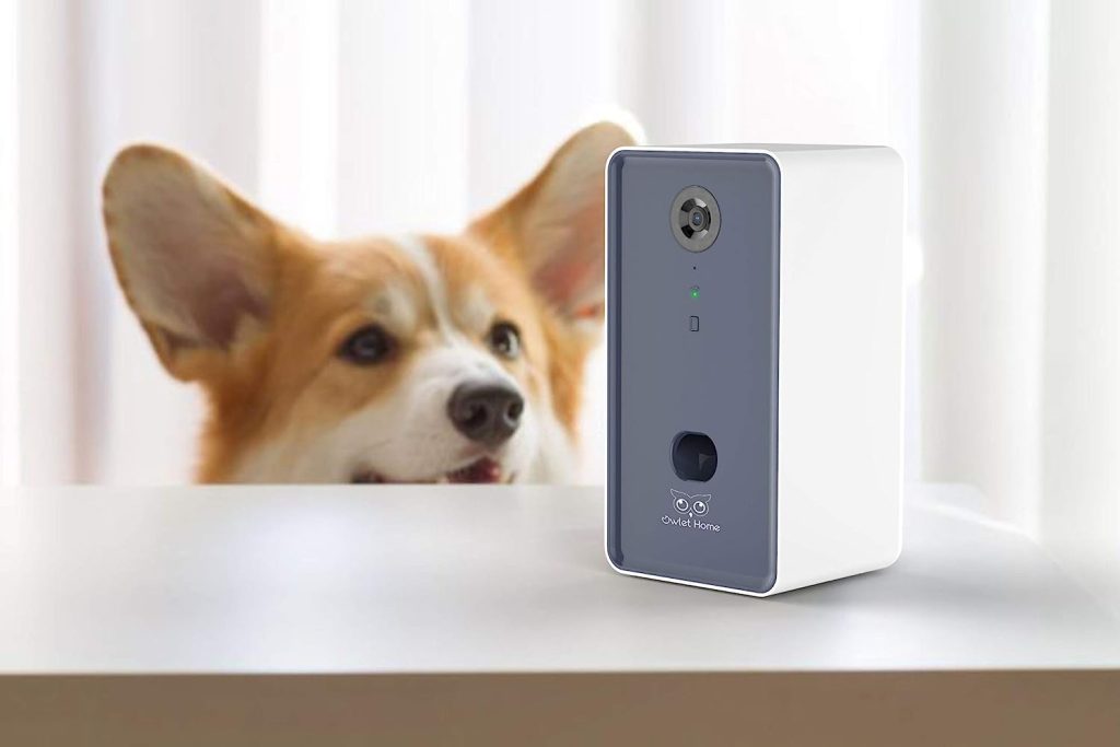 Being able to see and interact with your pet remotely provides peace of mind.