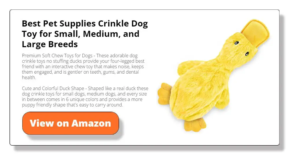 Crinkle Dog Toy