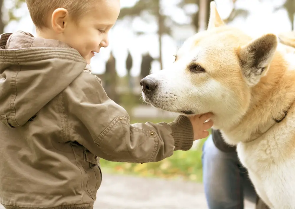 Teaching your kids how to approach a dog safely sets them up for positive experiences.