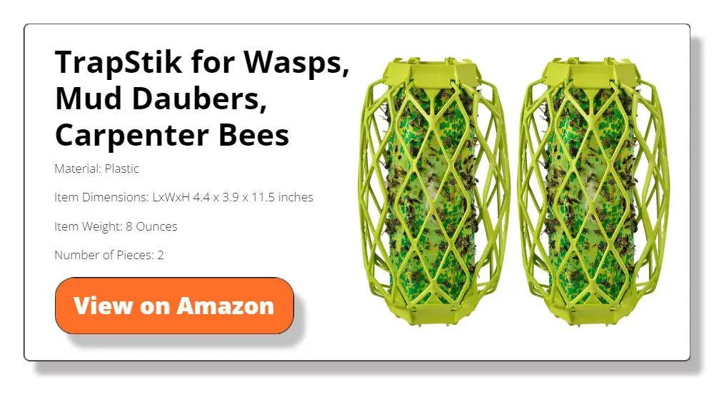 TrapStik for Wasps