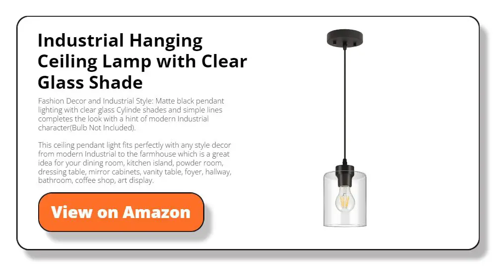 Industrial Hanging Ceiling Lamp with Clear Glass Shade