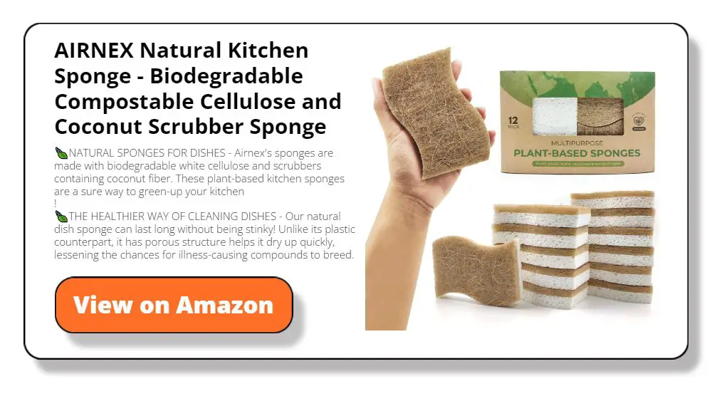 AIRNEX Natural Kitchen Sponge