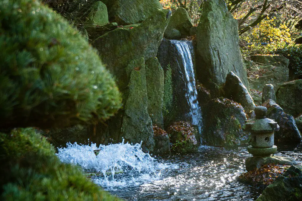 Outdoor water features can transform any garden into a tranquil oasis.