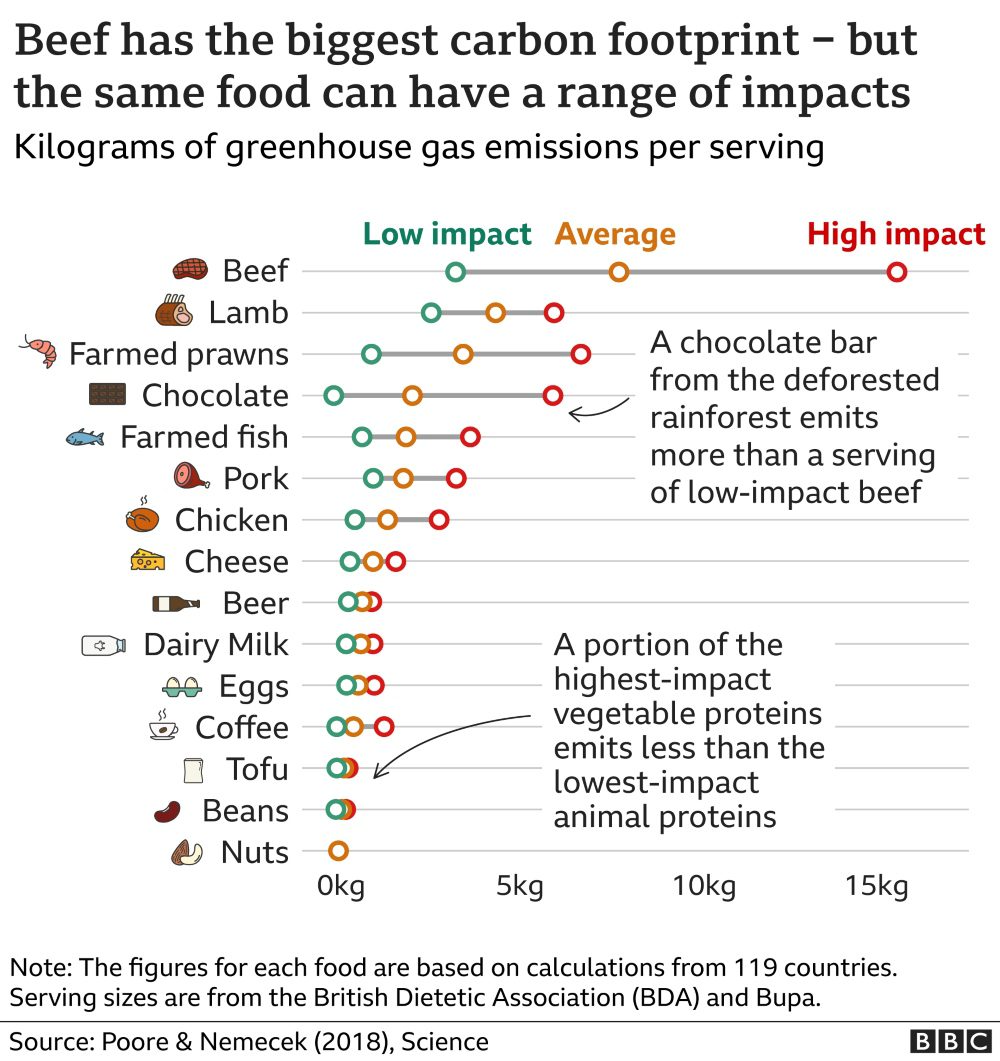 A chart to show how beef has the highest food's carbon footprint impact.