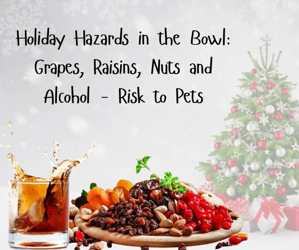 Festive food hazards like grapes, raisins, nuts, and alcohol are also dangerous for our pets.