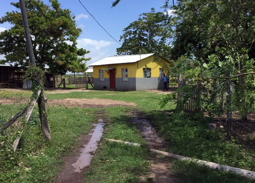 An image of a yellow homestead house.