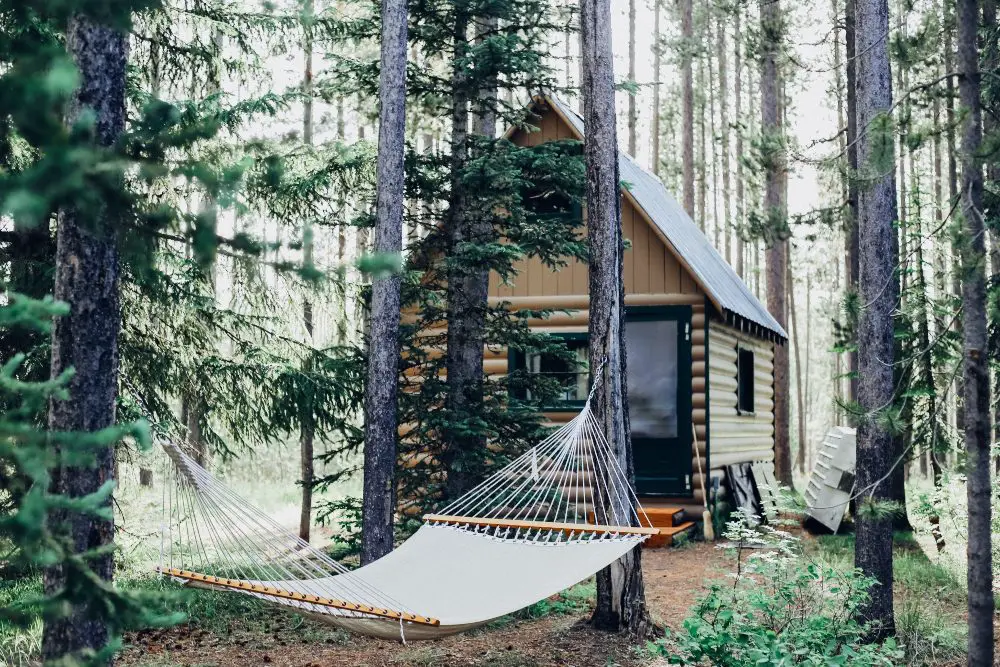 An image of a log cabin with a hammock.