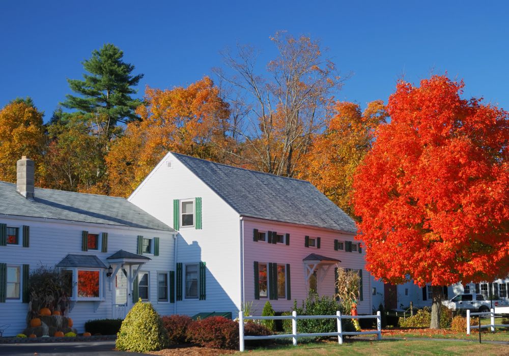 An image of cottage homes.