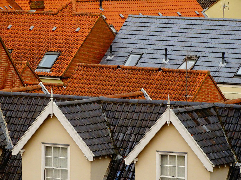 shingle roof