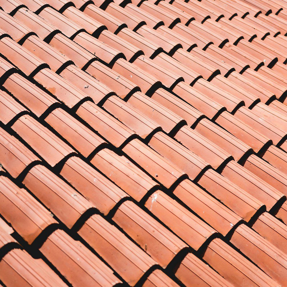 shingle roof