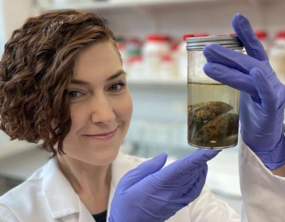 An image of Alexandra Morton-Hayward holding a brain fossil. 
