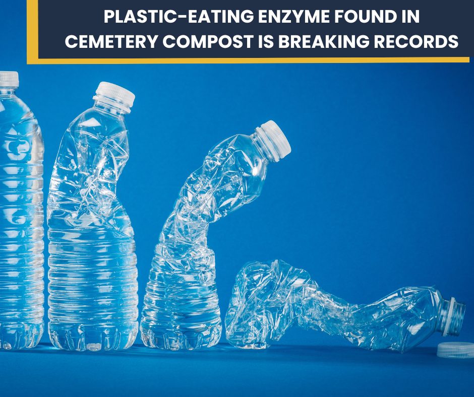 Plastic-Eating Enzyme Found in Cemetery Compost Is Breaking Records
