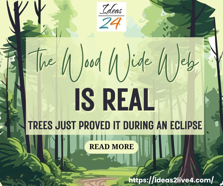 The wood wide web