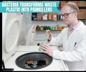 Bacteria Transforms Waste Plastic into Painkillers