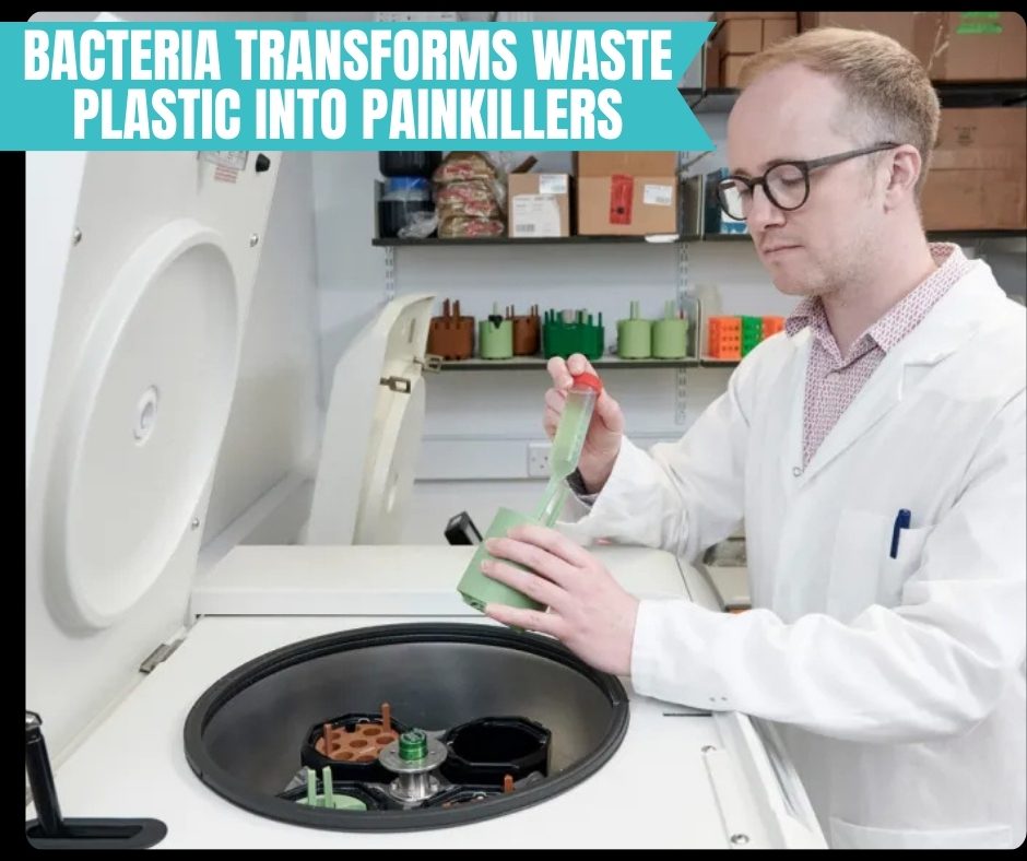 Bacteria Transforms Waste Plastic into Painkillers