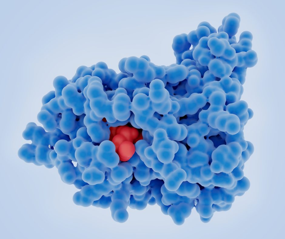 One Enzyme, Big Breakthrough