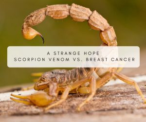 scorpion venom