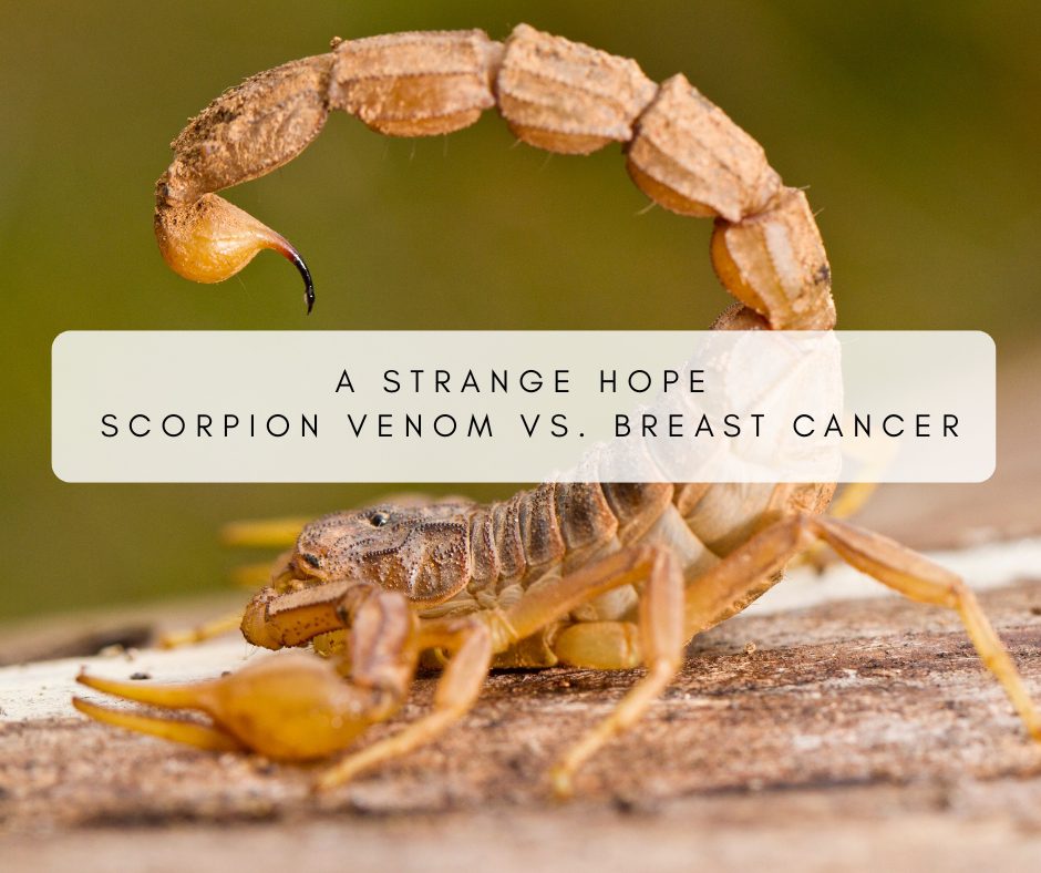 scorpion venom